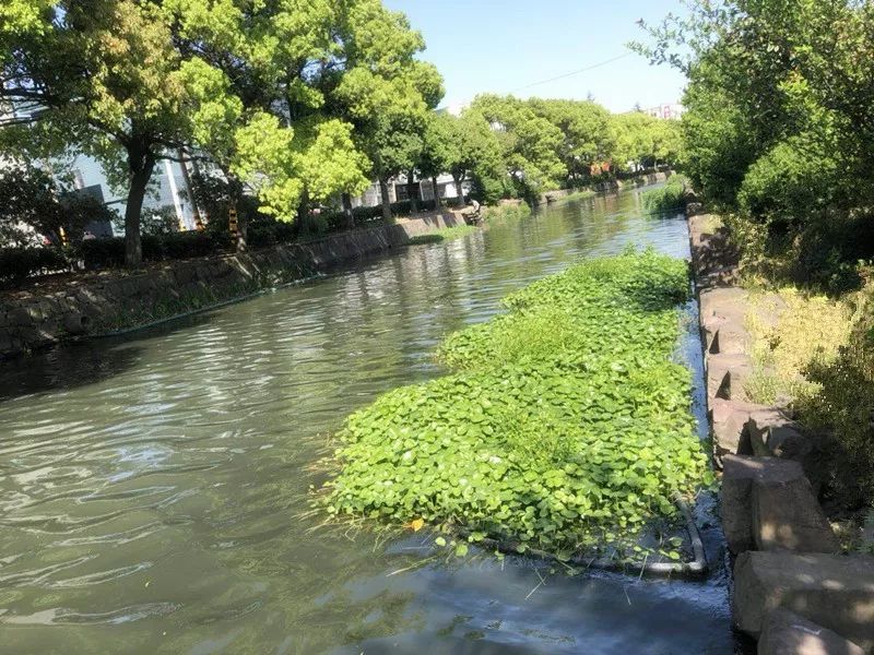 便攜式水質檢測儀用于檢測河流水質 便攜式水質檢測儀用于檢測河流水質