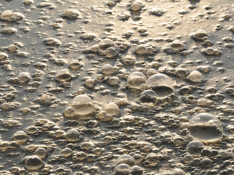 哪款設備可以精準檢測水中的氨氮含量