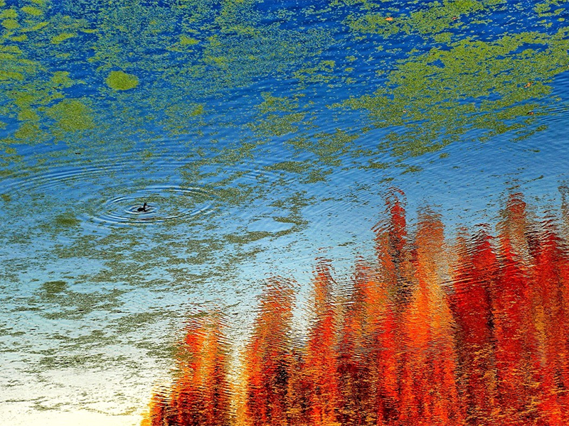 水質(zhì) 水質(zhì)