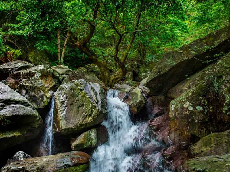 水質石油類檢測用什么采樣器 水質石油類檢測用什么采樣器