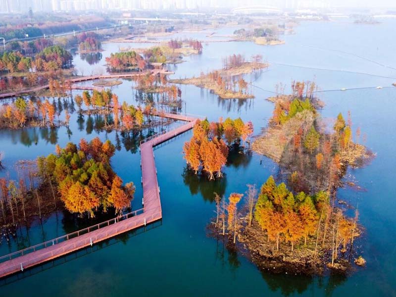水質(zhì)氨氮檢測的注意事項