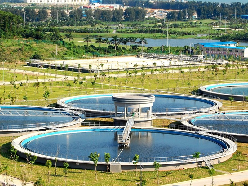 屠宰廠廢水特點