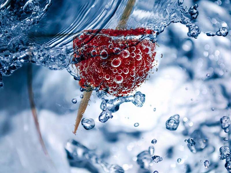 水質生物毒性監測的意義