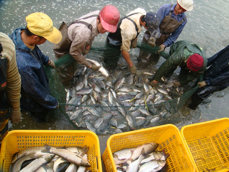 水質的檢測對水產養殖重要嗎 水質的檢測對水產養殖重要嗎