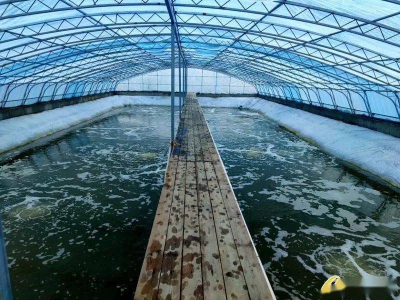 水質中的生物毒性怎么檢測 水質中的生物毒性怎么檢測